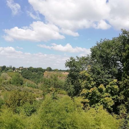 Nel Chianti Lungo La Francigena Apartment Colle Val D'Elsa Exterior foto