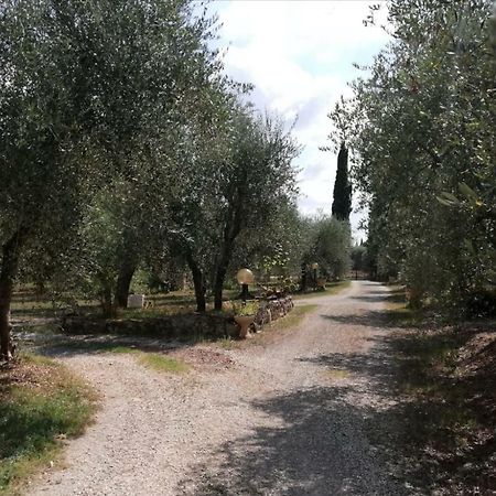 Nel Chianti Lungo La Francigena Apartment Colle Val D'Elsa Exterior foto