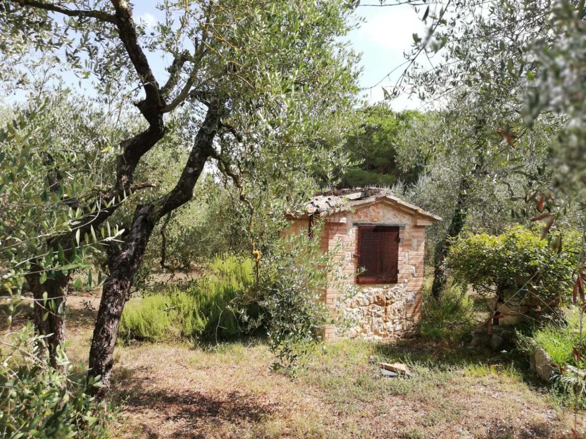Nel Chianti Lungo La Francigena Apartment Colle Val D'Elsa Exterior foto