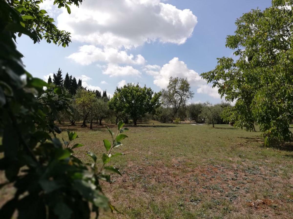 Nel Chianti Lungo La Francigena Apartment Colle Val D'Elsa Exterior foto