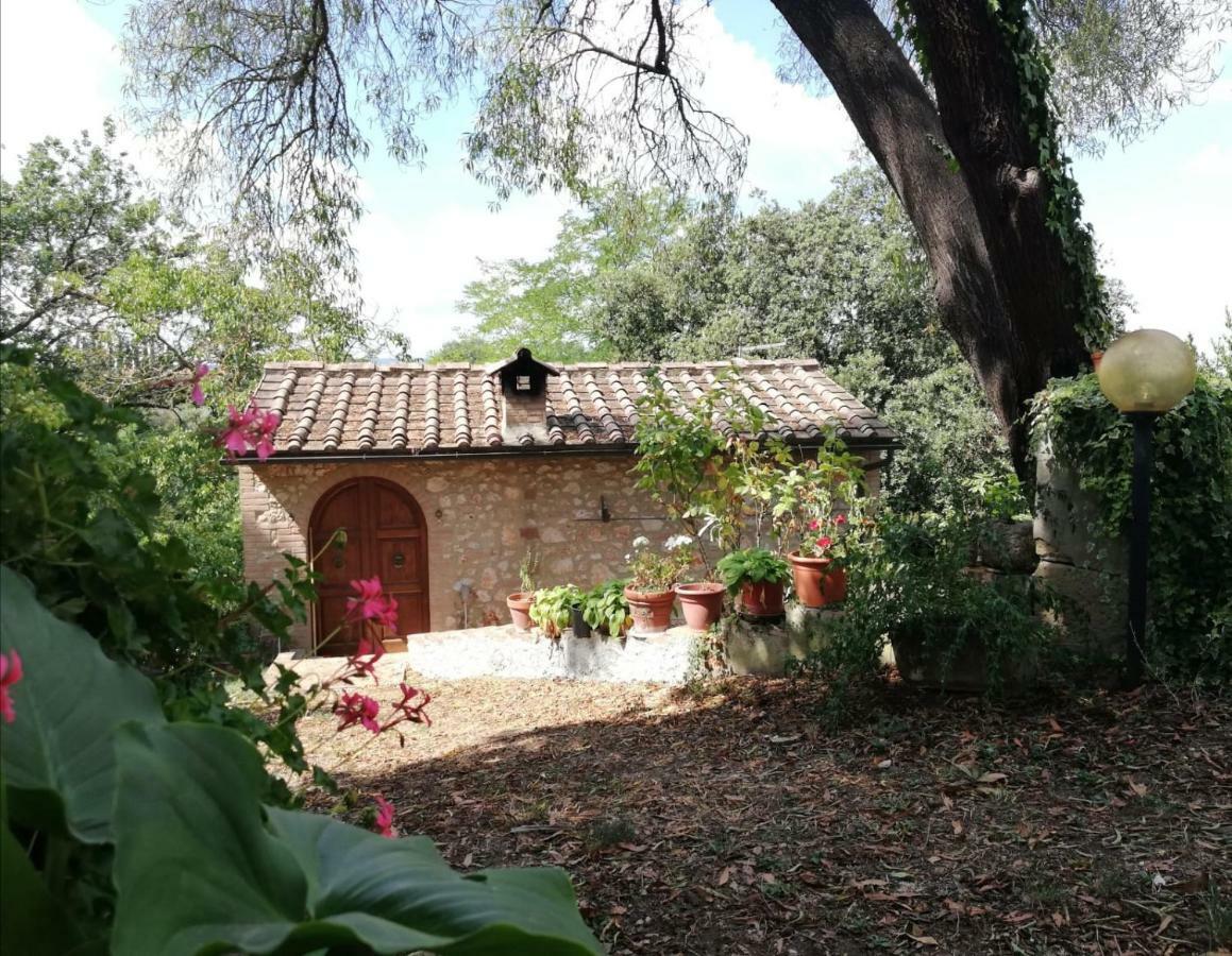 Nel Chianti Lungo La Francigena Apartment Colle Val D'Elsa Exterior foto