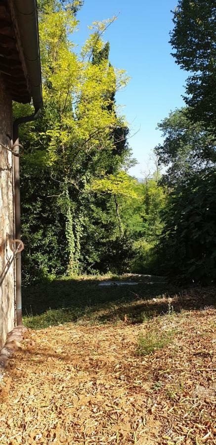 Nel Chianti Lungo La Francigena Apartment Colle Val D'Elsa Exterior foto