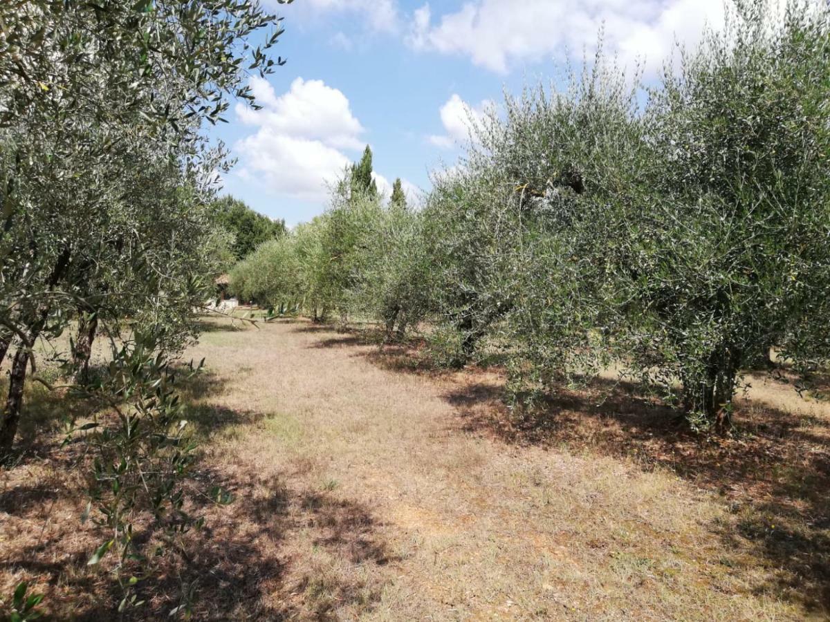 Nel Chianti Lungo La Francigena Apartment Colle Val D'Elsa Exterior foto