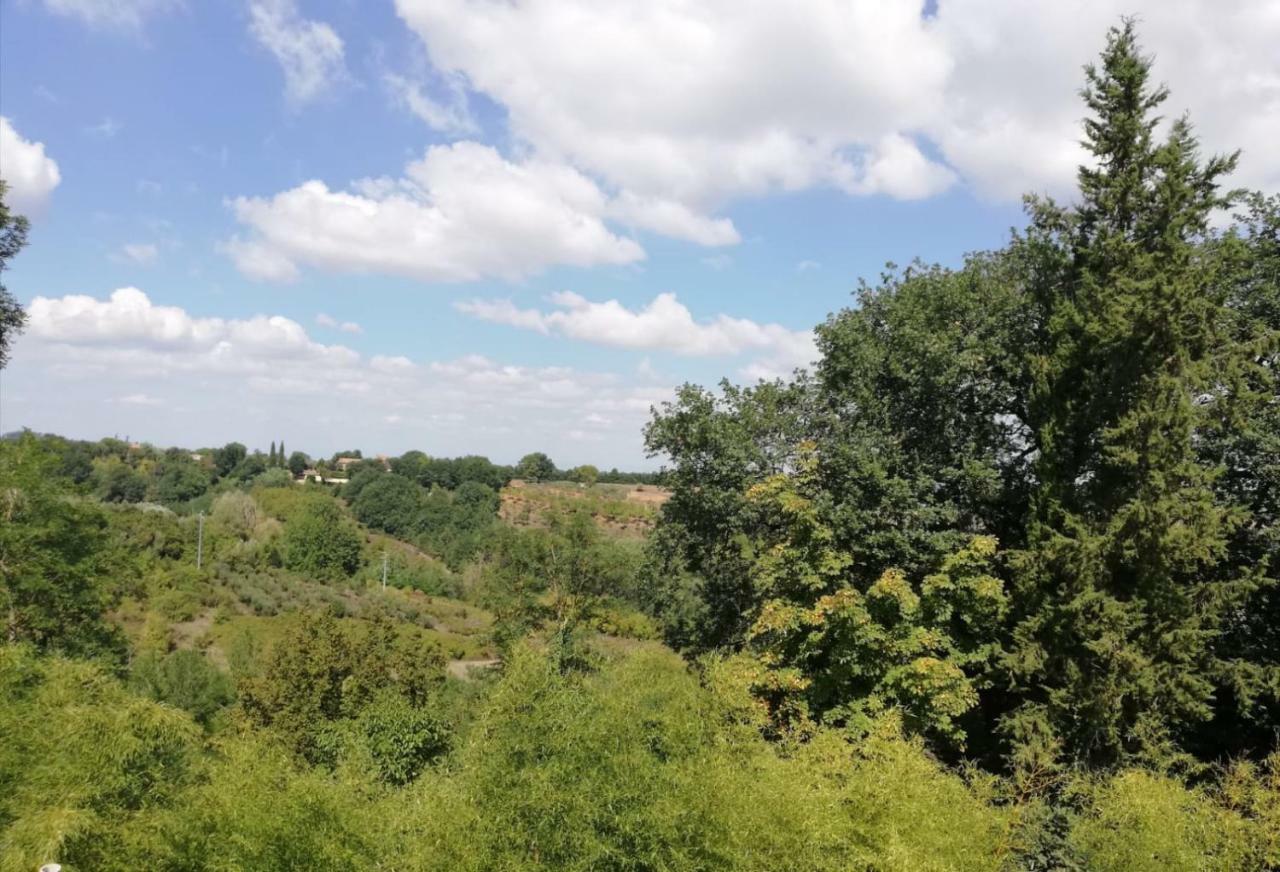 Nel Chianti Lungo La Francigena Apartment Colle Val D'Elsa Exterior foto